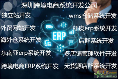 WMS倉儲系統開發與定制 構建智慧物流的核心引擎